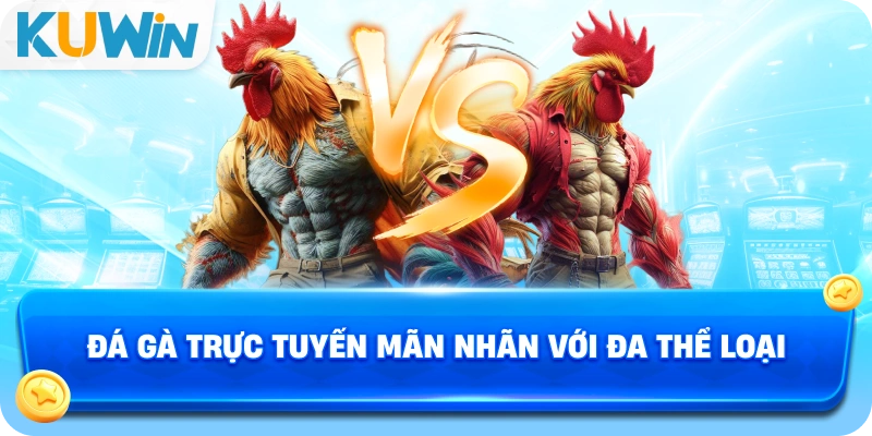 Đá gà trực tuyến mãn nhãn với đa thể loại
